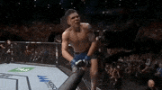 ufc fight night sport GIF by UFC