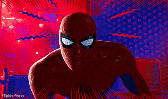 Spider-Man Marvel GIF by Spider-Man: Into The Spider-Verse