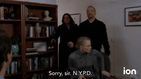 Law And Order Svu GIF by ION