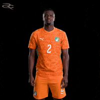 Fifa World Cup Elephants GIF by Respective