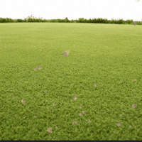 Friends Meet Up GIF by TeaCosyFolk