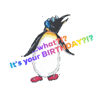 Happy Birthday What Sticker