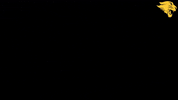 Cuc19 D3Hoops GIF by CUCougars