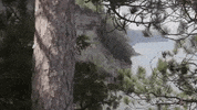 michigan GIF