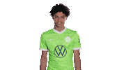 Happy Football Sticker by VfL Wolfsburg
