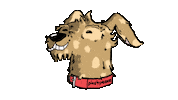 Dog Nod Sticker by pics4peace