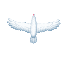 flying fly away Sticker by LWZ