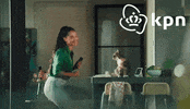 KPNWebcare cat dancing wifi kpn GIF