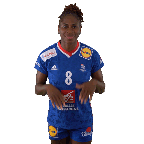 Ffhandball Sticker by Fédération Française de Handball