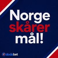 Landslaget Altfornorge GIF by DODO Social