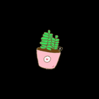 maveindarts startupbymaveindarts GIF