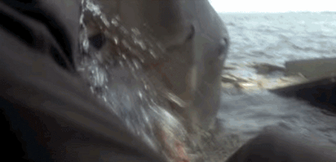 GIF by Mashable