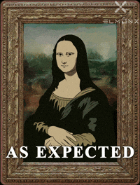 Mona Lisa Wtf GIF by ElmonX