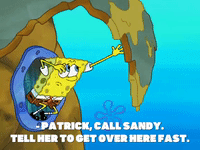 season 8 GIF by SpongeBob SquarePants