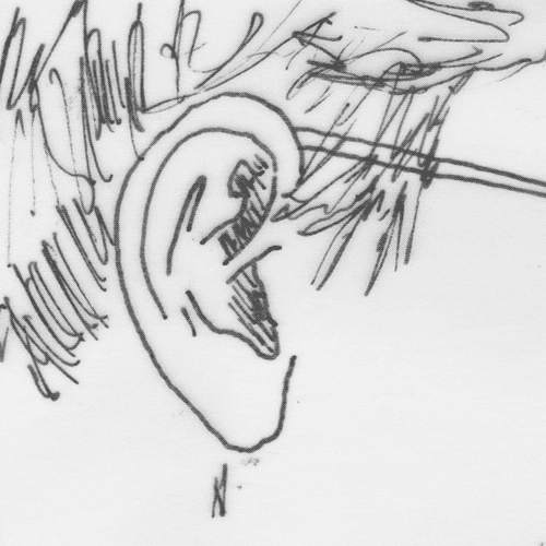 matthias brown GIF by TraceLoops