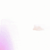 Yankees GIF by Jomboy Media