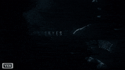All Rise Yankees GIF by YES Network