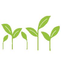 botanicalpaperworks plants growing greenery Sprouts Sticker