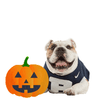 butler blue Sticker by Butler University