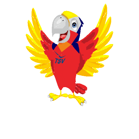 TSVfalkensee giphygifmaker sport salto tsv Sticker