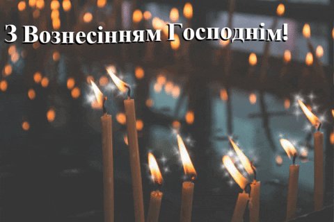 karinazuieva giphygifmaker GIF