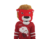 Kudos Thumbs Up Sticker by York University