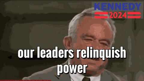 Voting Civic Duty GIF by Team Kennedy
