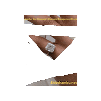 My Love Valentine Sticker by Shiv Shambu