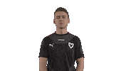 Dexter Acor Sticker by mousesports