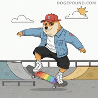 Skating Shiba Inu GIF by Doge Pound