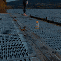 britishswimming swimming scotland loch open water GIF