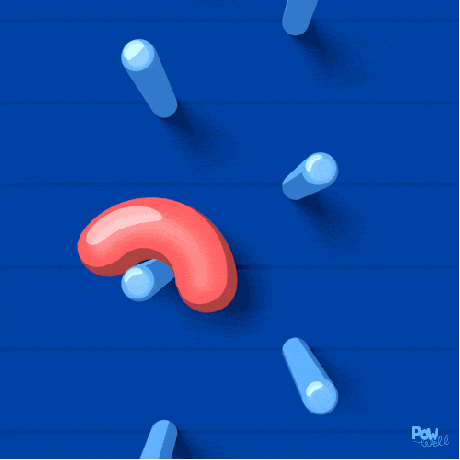 Loop Bounce GIF