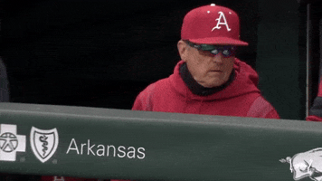 Ncaa Baseball Thumbs Up GIF by Arkansas Razorbacks