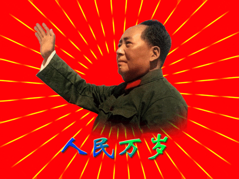 dear leader communism GIF