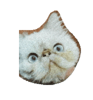 New Music Quarantine Sticker by Avenue Beat