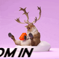 LazyThings nft nfts lazythings lazy things GIF