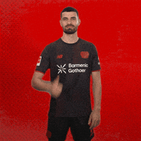 Bayer 04 Love GIF by Bayer 04 Leverkusen