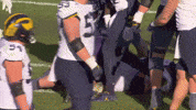 Big Ten Michigan GIF by Northwestern Athletics
