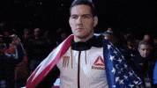 ufc 205 GIF