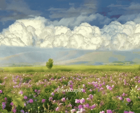 wokupl8 nature giphycreatortest calm peaceful GIF