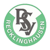Logo Sticker Sticker by PSV Recklinghausen Handball