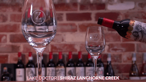 Red Wine GIF by Zonte's Footstep