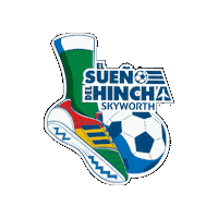 Sueño Del Hincha Sticker by skyworthbo