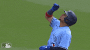 Major League Baseball Sport GIF by MLB