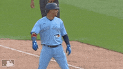 Major League Baseball Sport GIF by MLB