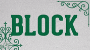 volleyball block GIF by GreenWave