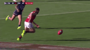 afl dockers GIF