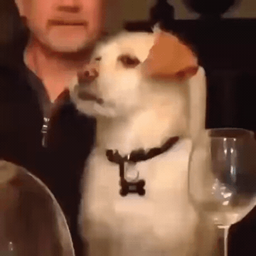 mood GIF