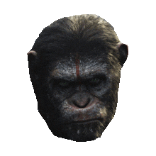 monkey STICKER by imoji