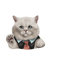 Cat Britishcat Sticker by British cats cattery and Apollo cat.